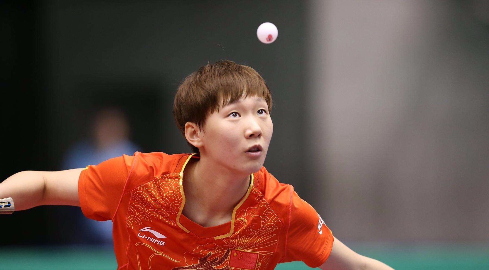 中集中展现 中集中展现